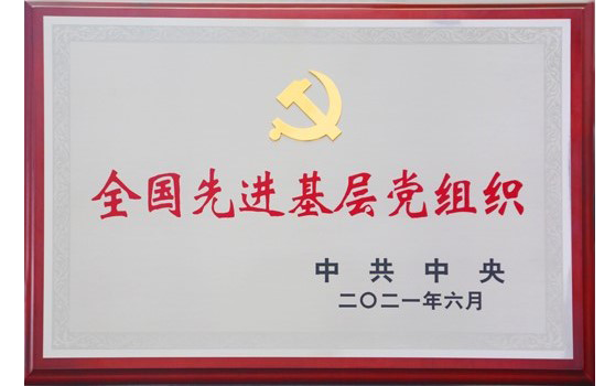 2021年6月大運集團黨委榮獲“全國先進基層黨組織”榮譽稱號